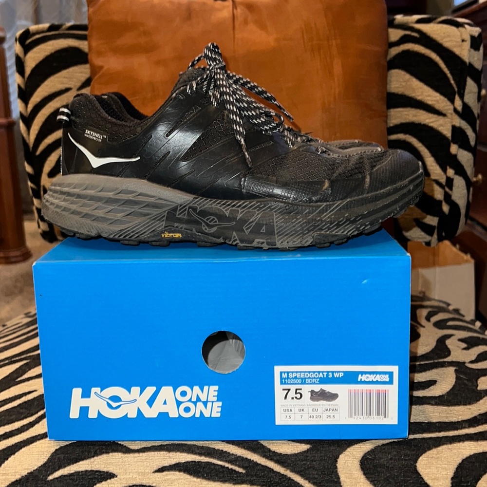 HOKA speadgoat 3 water proof